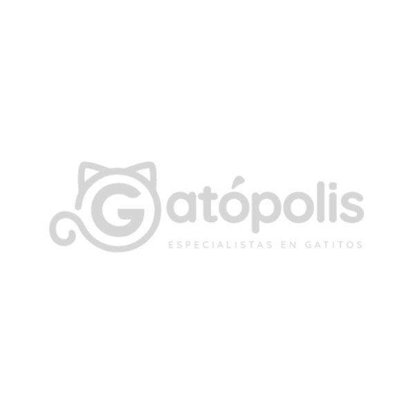 Gatópolis